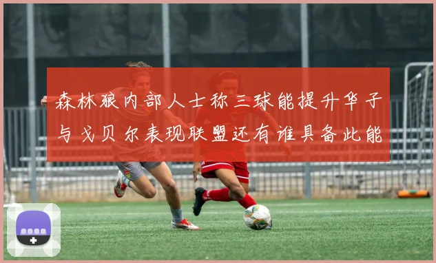 森林狼内部人士称三球能提升华子与戈贝尔表现联盟还有谁具备此能力